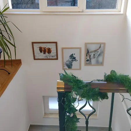 Friends House - Station - Self Check-in Guest house *
