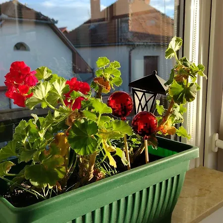 Gasthuis Friends House - Station - Self Check-in 3*