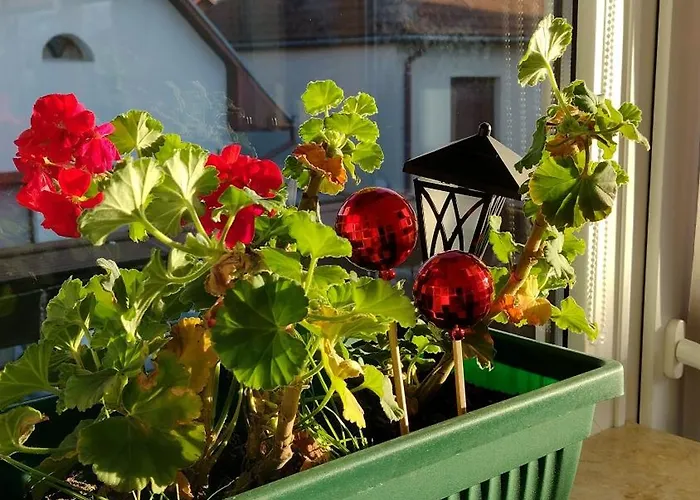 Guest house Friends House - Station - Self Check-in 3*