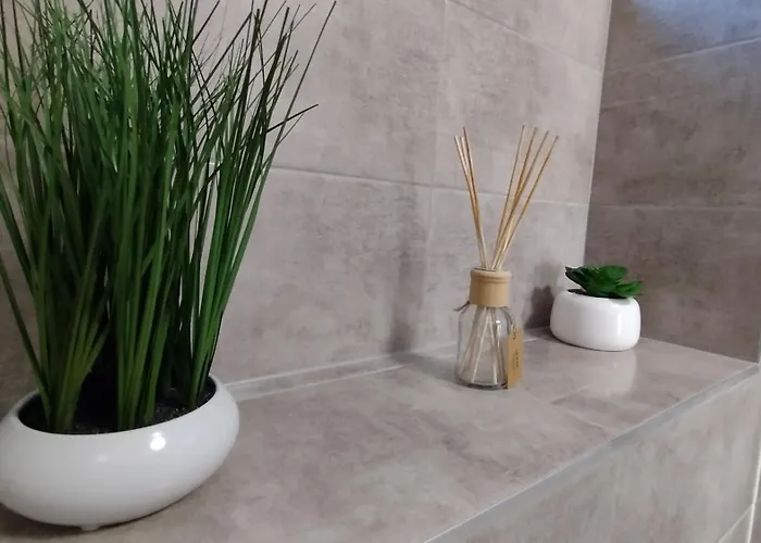 Guest house Friends House - Station - Self Check-in Brasov